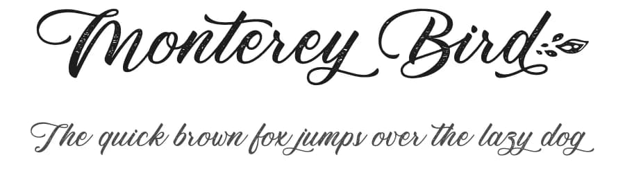 Monterey Bird by Typhoon Type - Suthi Srisopha — Script Handwritten Font