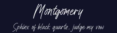 Montgomery by Letterena Studios — Script Handwritten Font — thumbnail 2