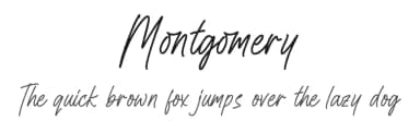 Montgomery by Letterena Studios — Script Handwritten Font — thumbnail 1