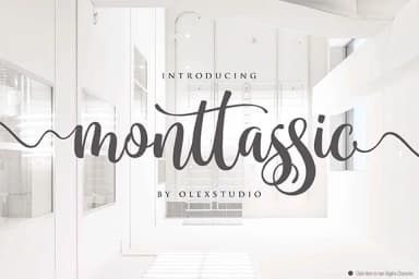 Monttassic Script Font by Olexstudio — Script Handwritten Font — thumbnail 1