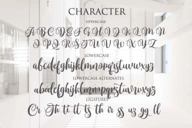Monttassic Script Font by Olexstudio — Script Handwritten Font — thumbnail 4