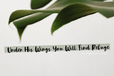 Moonlight Font by Studio_Art by Studio_Art — Script Handwritten Font — thumbnail 3