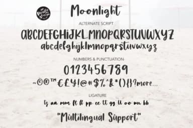 Moonlight Font by Studio_Art by Studio_Art — Script Handwritten Font — thumbnail 6