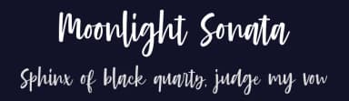 Moonlight Sonata by Typehand Studio — Script Handwritten Font — thumbnail 2