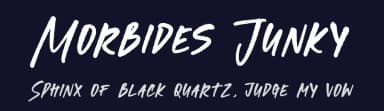 Morbides Junky by Letterena Studios — Script Handwritten Font — thumbnail 2