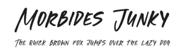Morbides Junky by Letterena Studios — Script Handwritten Font — thumbnail 1