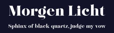 Morgen Licht by Handpik — Serif Font — thumbnail 2
