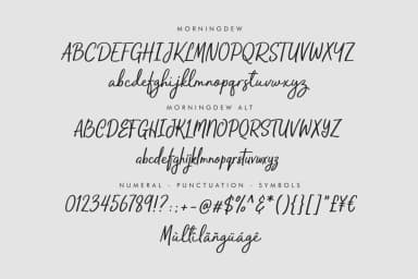 Morning Dew Font by locomotype — Script Handwritten Font — thumbnail 6