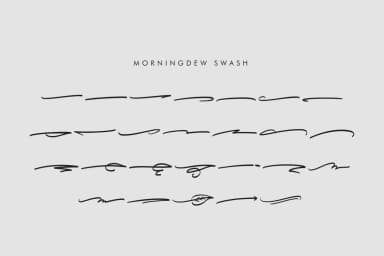 Morning Dew Font by locomotype — Script Handwritten Font — thumbnail 7