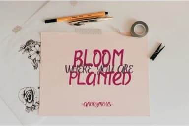 Morning Glory Font by dmletter31 — Script Handwritten Font — thumbnail 2