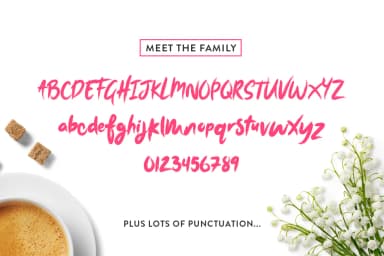 Morning Simba Script Font by Salt and Pepper Fonts — Script Handwritten Font — thumbnail 5