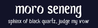 Moro Seneng by Adien Gunarta — Script Handwritten Font — thumbnail 2