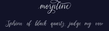 Morpline by Allouse Studio — Script Handwritten Font — thumbnail 2