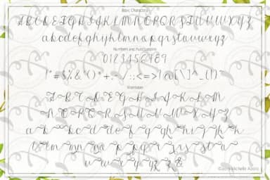 Morri Belle Script Font by Michelle Alzola — Script Handwritten Font — thumbnail 2