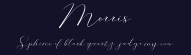 Morris by Cooldesignlab — Script Handwritten Font — thumbnail 2