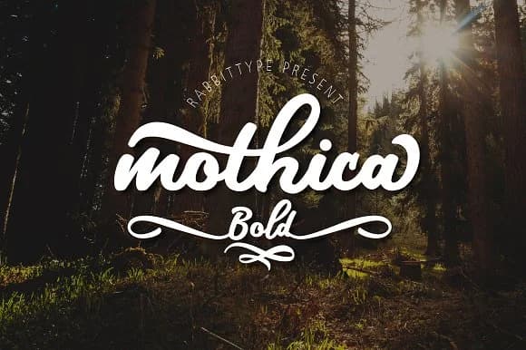 Mothica Bold Font by Olexstudio — Script Handwritten Font