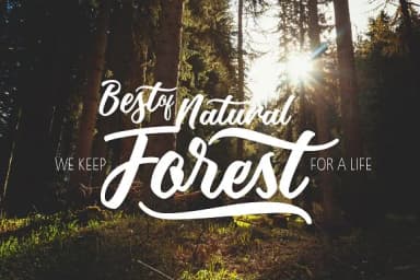 Mothica Script Font by Olexstudio — Script Handwritten Font — thumbnail 3