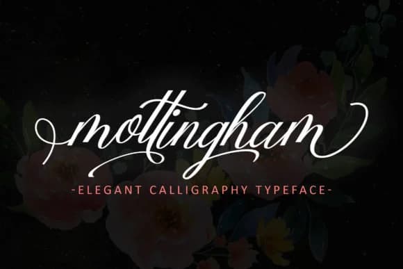 Mottingham Font by leparte studio — Script Handwritten Font