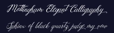 Mottingham Elegant Calligraphy by Axara Type — Script Handwritten Font — thumbnail 2