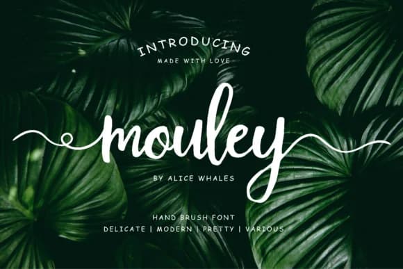 Mouley Font by NendesKombet — Script Handwritten Font
