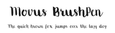 Movus BrushPen by Movus Munay — Script Handwritten Font — thumbnail 1