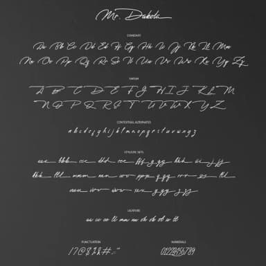 Mr. Dakota Font by Fauzi — Script Handwritten Font — thumbnail 7