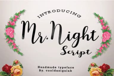 Mr. Night Font by Cooldesignlab — Script Handwritten Font — thumbnail 1