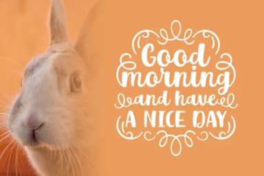 Mr. Rabbit Font by Creative Fabrica Fonts — Script Handwritten Font — thumbnail 2