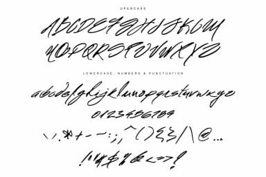 Mr. Roosevelt Font by Marcelo Inez — Script Handwritten Font — thumbnail 6