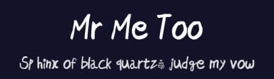 Mr Me Too by Mahdi Salah — Script Handwritten Font — thumbnail 2