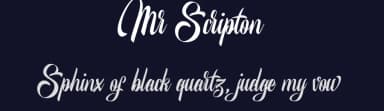 Mr Scripton by Unflea Studio — Script Handwritten Font — thumbnail 2