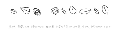 MTF Leaves by Miss Tiina Fonts - MTF — Dingbats Font — thumbnail 1