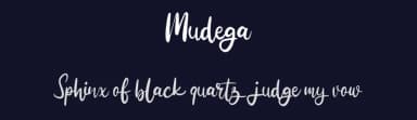 Mudega by Vunira Design — Script Handwritten Font — thumbnail 2