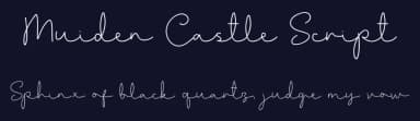 Muiden Castle Script by Graphicfresh — Script Handwritten Font — thumbnail 2