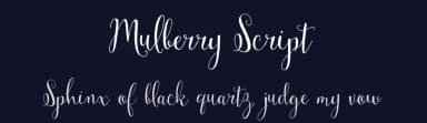Mulberry Script by Garden Grown Fonts — Script Handwritten Font — thumbnail 2
