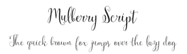 Mulberry Script by Garden Grown Fonts — Script Handwritten Font — thumbnail 1