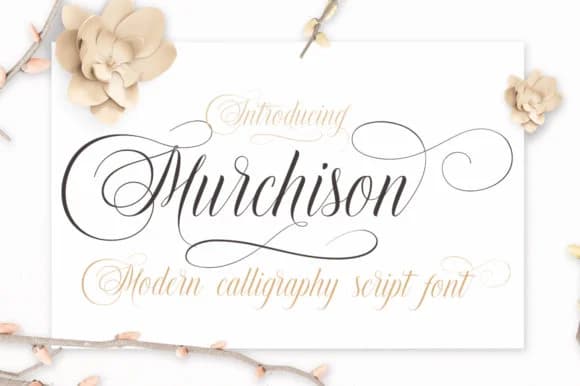 Murchison Font by Stripes Studio — Script Handwritten Font