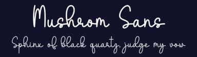 Mushrom Sans by DN Creative — Script Handwritten Font — thumbnail 2