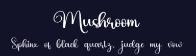 Mushroom by Scratchones — Script Handwritten Font — thumbnail 2