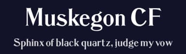 Muskegon CF by Chuck's Fonts — Serif Font — thumbnail 2