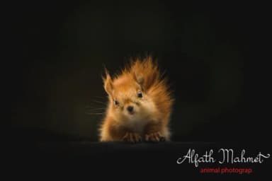 My Mecca Font by aminmario — Script Handwritten Font — thumbnail 2