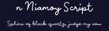 n Niamoy Script by wepfont.com — Script Handwritten Font — thumbnail 2