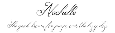 Nachelle by PutraCetol Studio — Script Handwritten Font — thumbnail 1