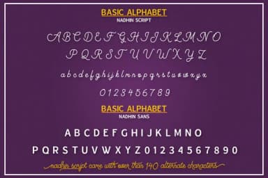 Nadhin Font by LostvolType — Script Handwritten Font — thumbnail 4