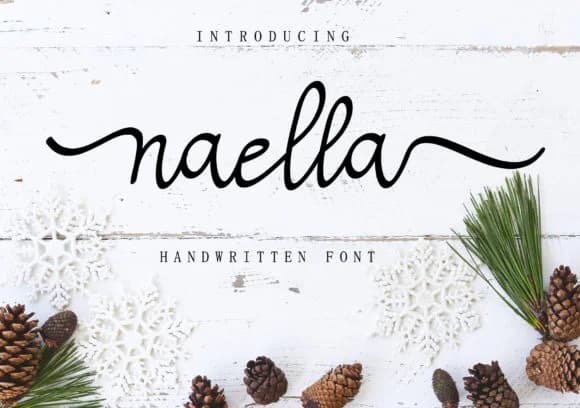 Naella Font by AEN Creative Studio — Script Handwritten Font