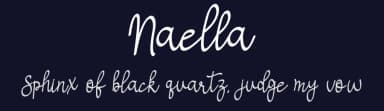Naella by AEN Creative Studio — Script Handwritten Font — thumbnail 2