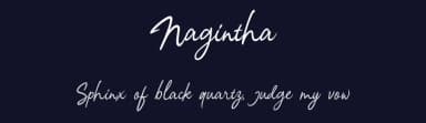Nagintha by Letterhend Studio — Script Handwritten Font — thumbnail 2
