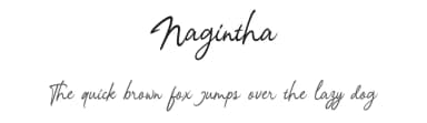 Nagintha by Letterhend Studio — Script Handwritten Font — thumbnail 1