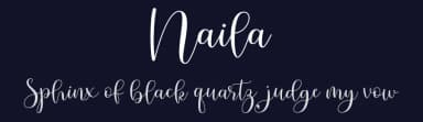 Naila by Blue Studio09 — Script Handwritten Font — thumbnail 2