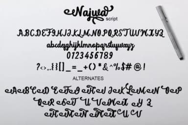 Najwa Font by saidi studio — Script Handwritten Font — thumbnail 7